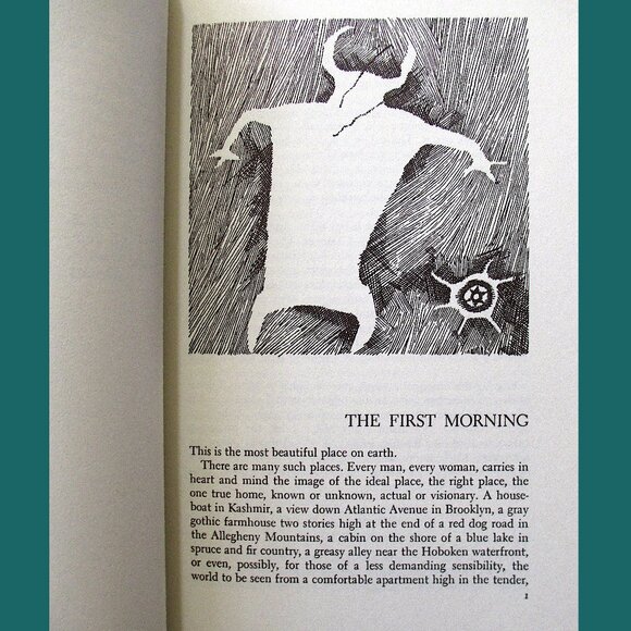 Book - Desert Solitaire: A Season in the Wilderness by Edward Abbey - Picture 4 of 9